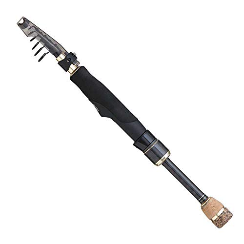 仕舞寸法24cm】ワクワクがとまらない！トラギアシリーズ「ポケビッツ